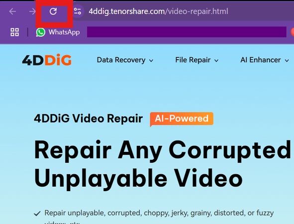 Seite neu laden, um 403 forbidden error zu beheben