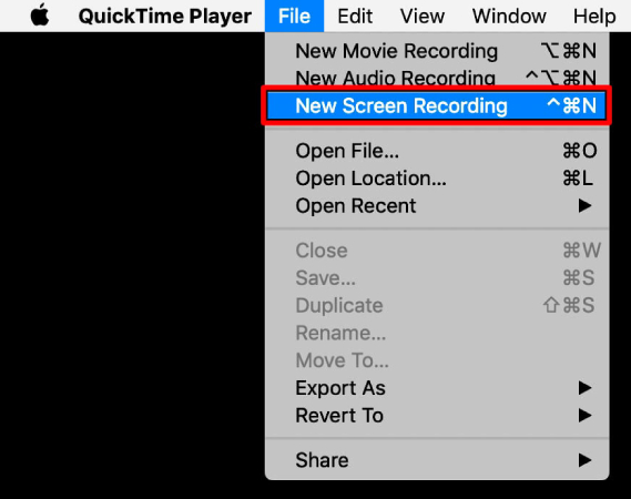 새 화면 녹화 선택