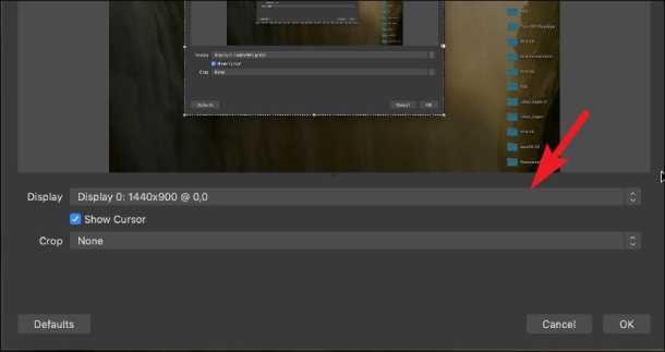 디스플레이와 캡쳐 방법 선택