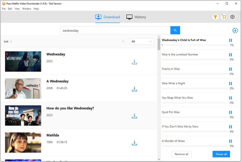 download netflix movies using netflix video downloader-5