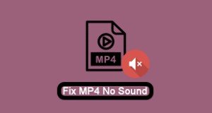 Kroniek kristal historisch Answered] What Cause No Sound MP4 and How to Fix?