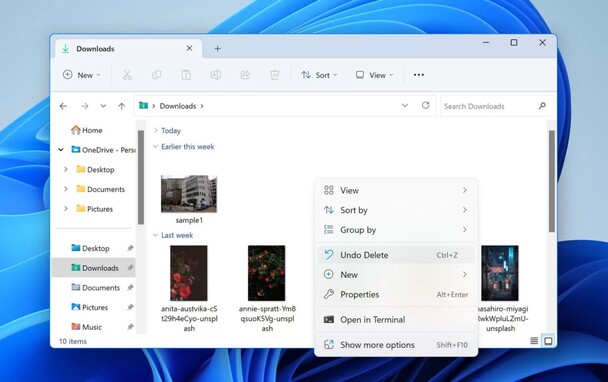 press ctrl z shortcut