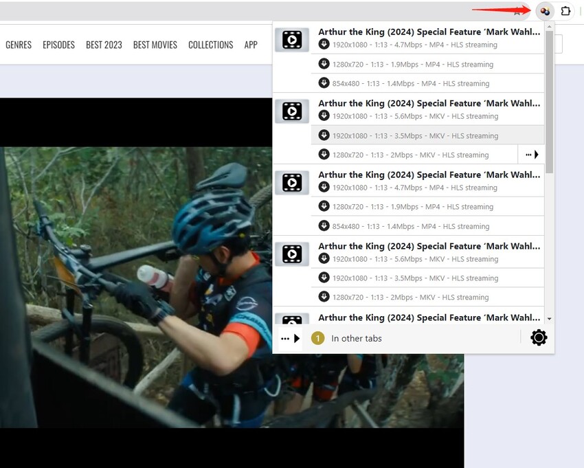 soap2day download movies via videodownloaderhelper