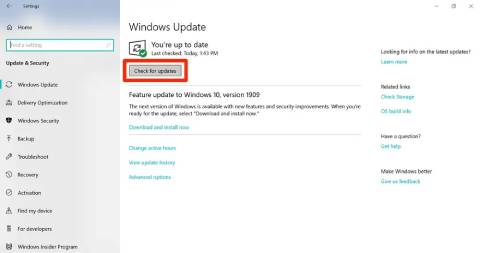 windows update check for updates