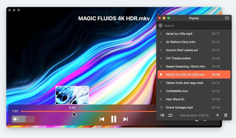 elmedia player playing mkv