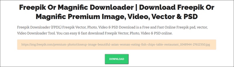 experts tool freepik premium downloader