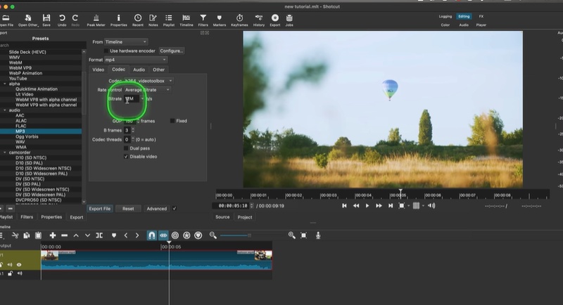 Export the final project as MP4