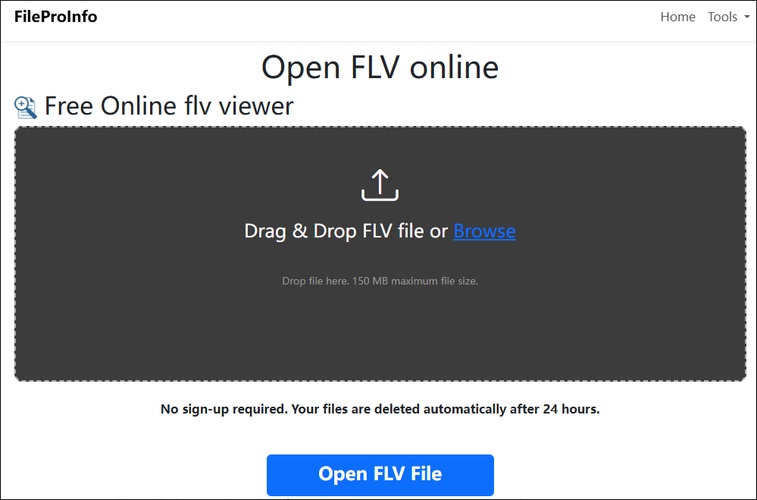 fileproinfo online flv player