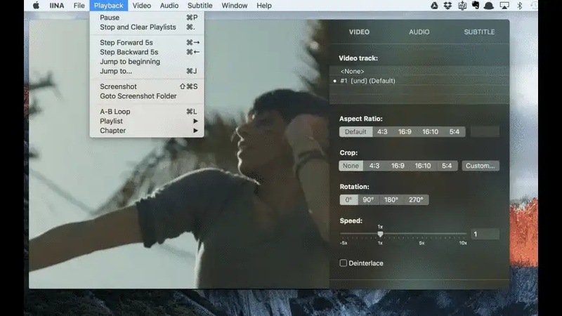iina customizable options
