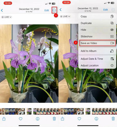 iphone photos app save live photos as videos