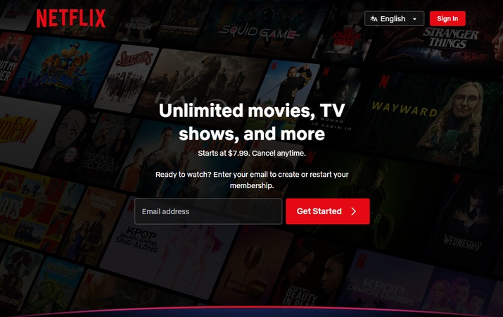 netflix interface