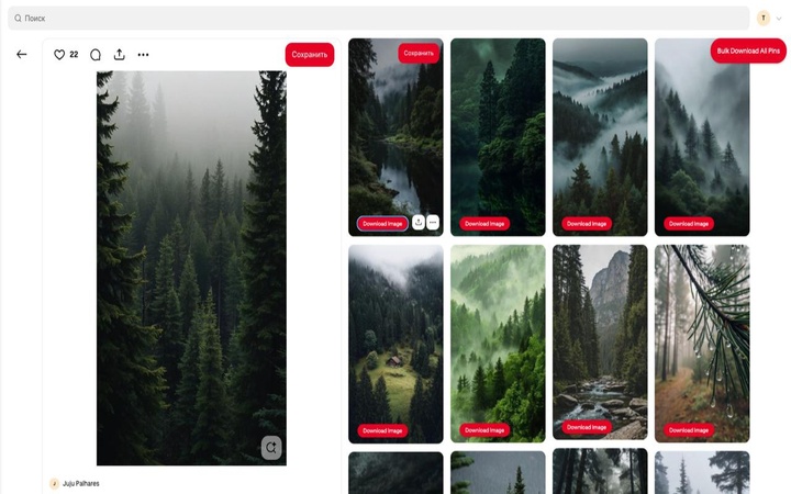 pinterest image downloader chrome extension