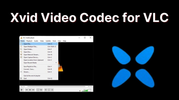 xvid codec vlc