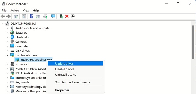 double click on display adapters