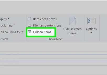versteckte Objekte im Datei-Explorer anzeigen