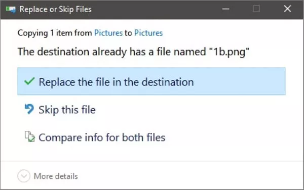 replace the file in the destination option