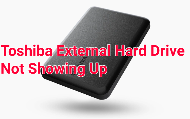 toshiba external hard drive not show up
