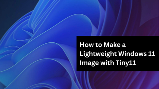 How to Make a Lightweight Windows 11 Image with Tiny11