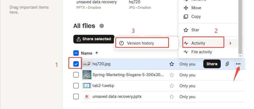 dropbox version history