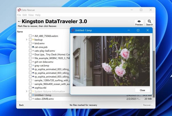 data rescue