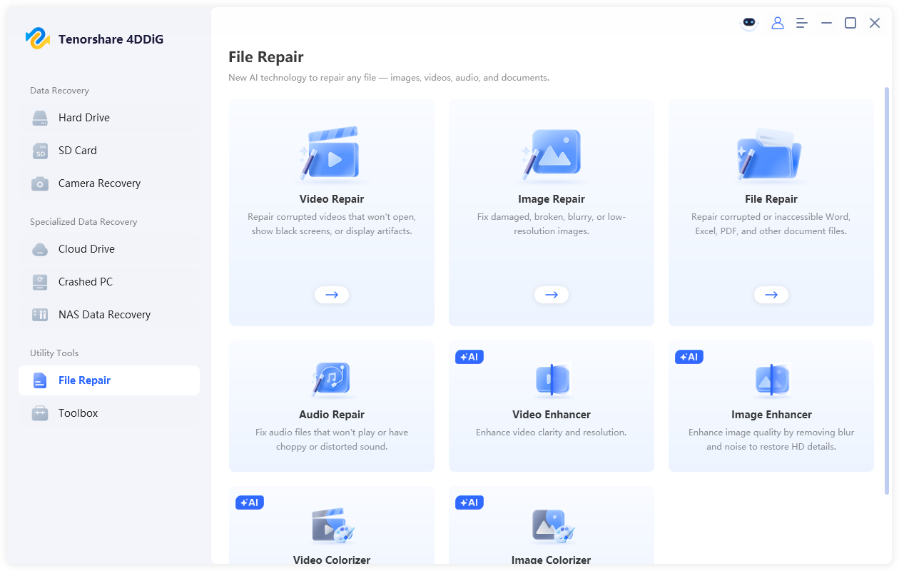 file repair of 4ddig