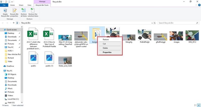 recover deleted videos from recycle bin