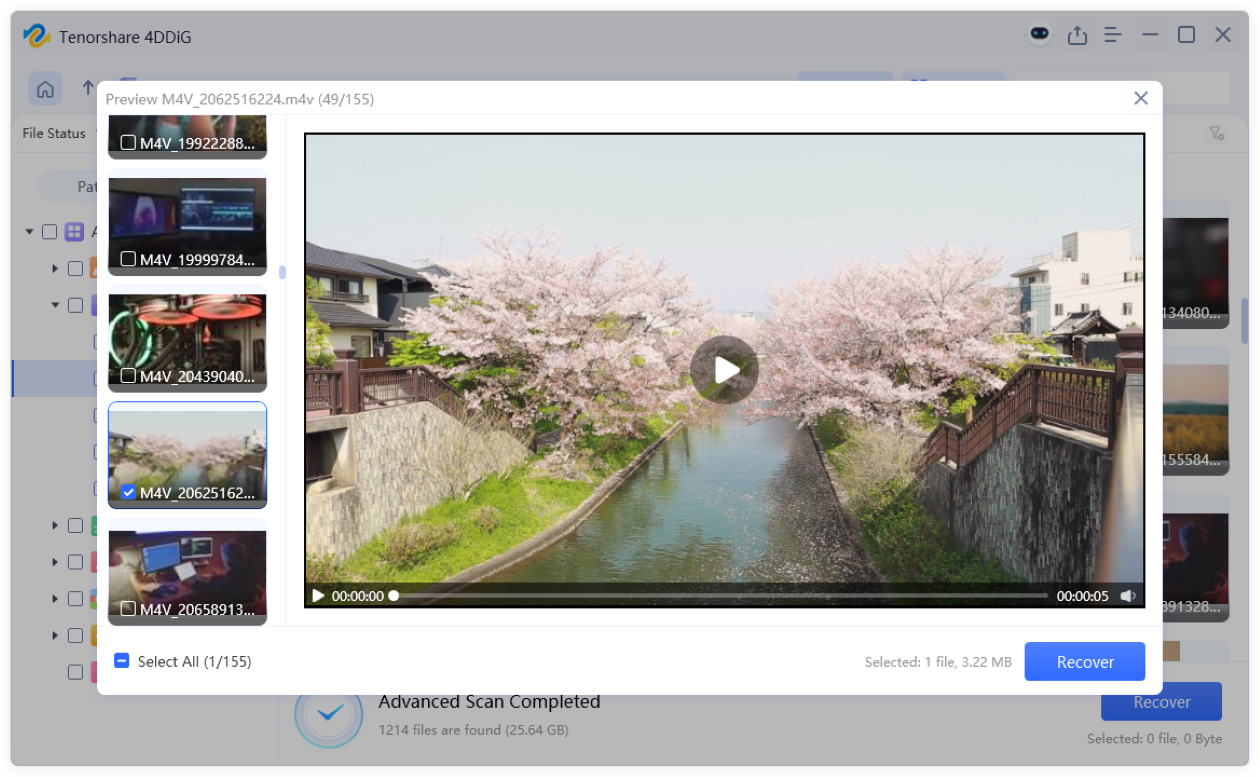 preview and recover file using 4ddig