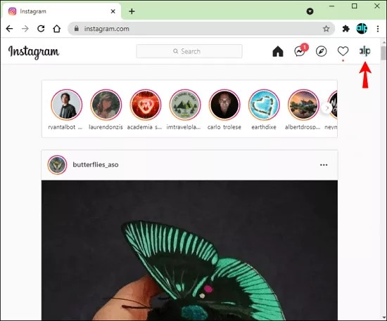 profile page