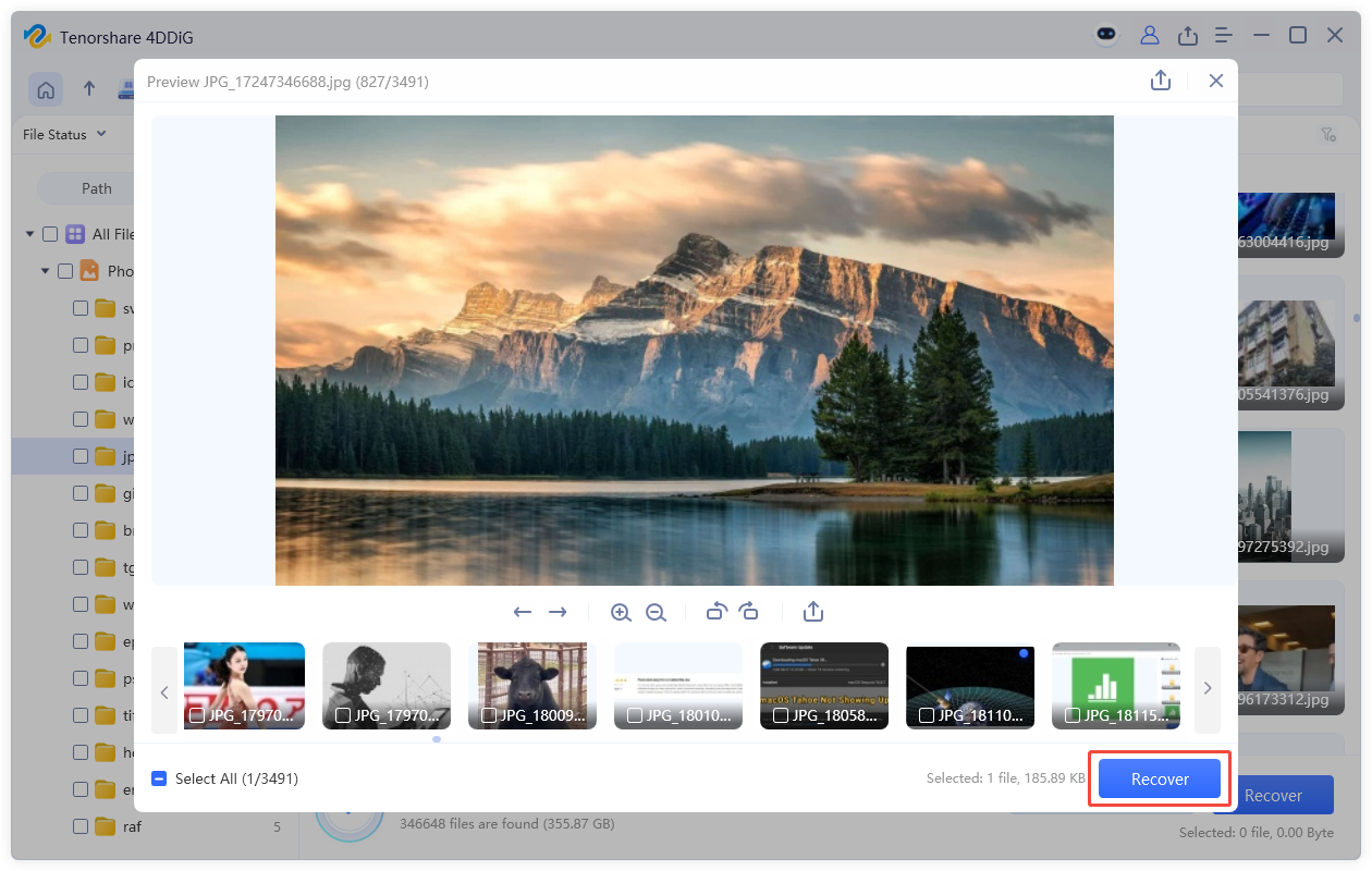 preview and recover the files