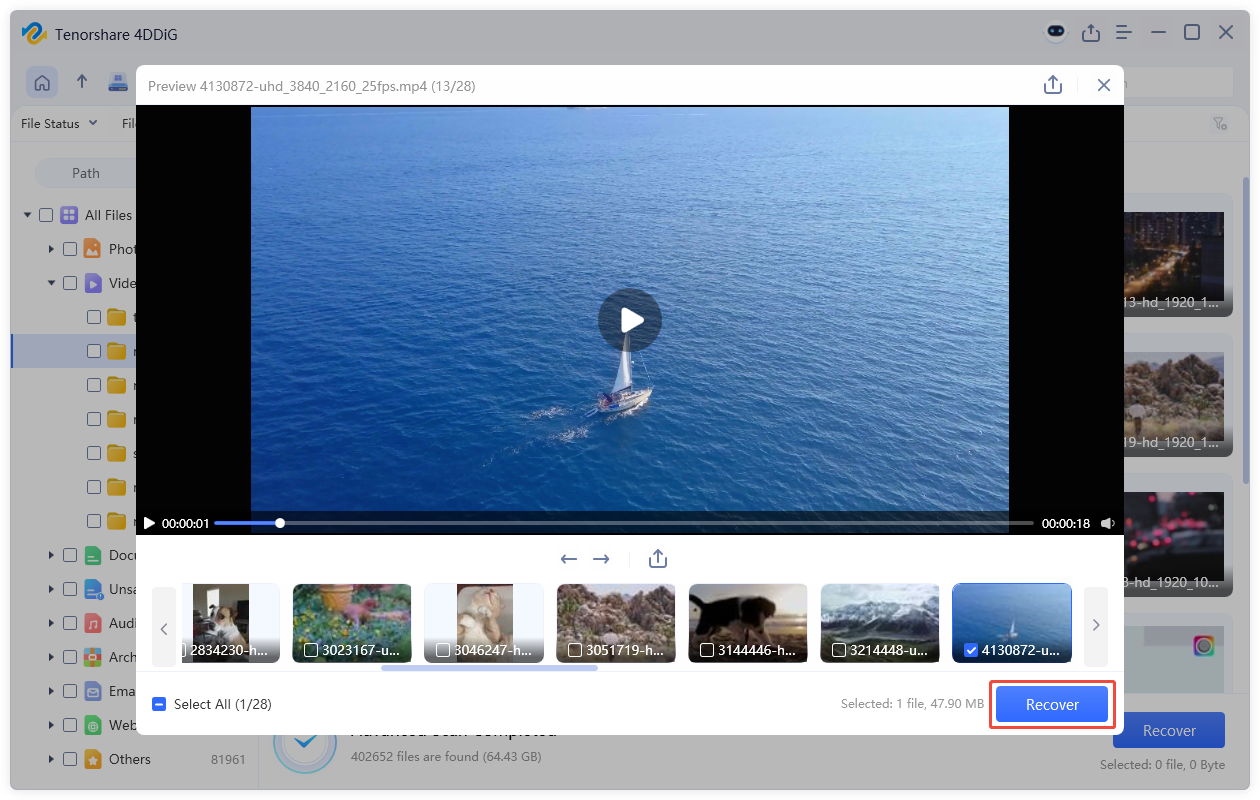 preview and recover the files