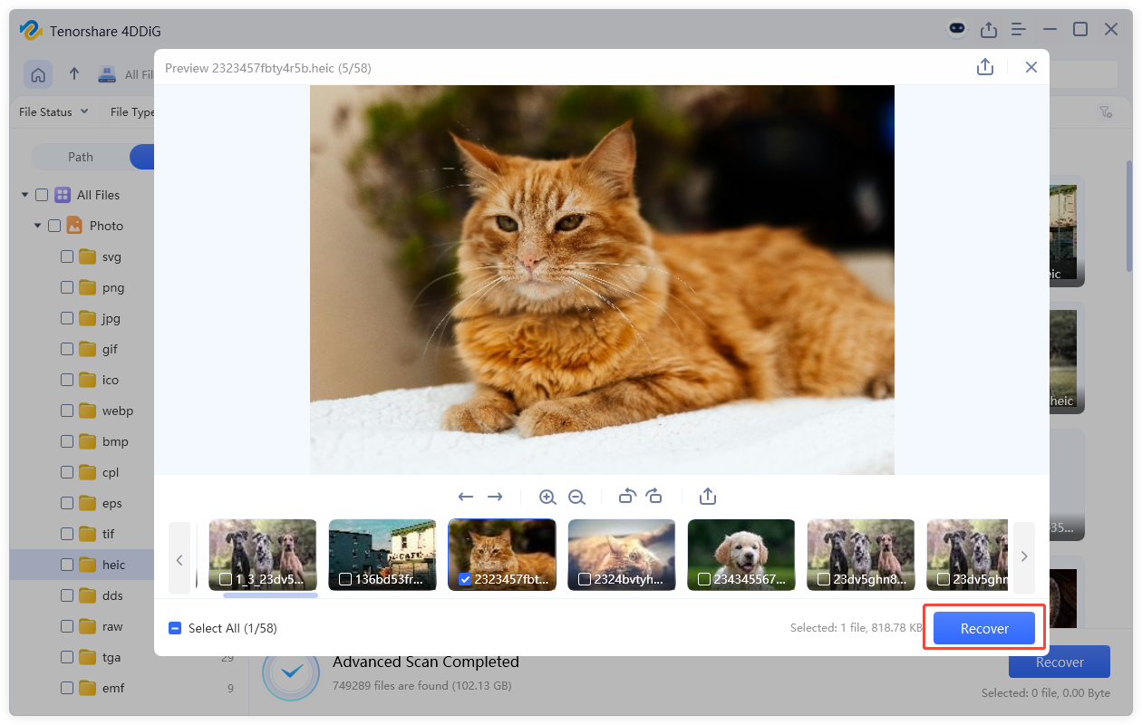 recover the selected photos 4ddig