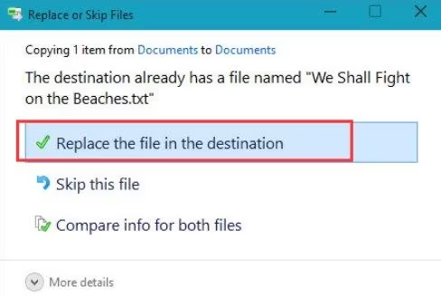 Replace the file in the destination