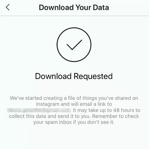 your instagram data