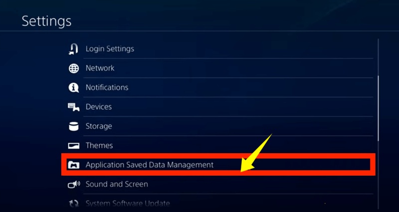 application saved data management in settings