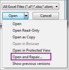 choose open and repair