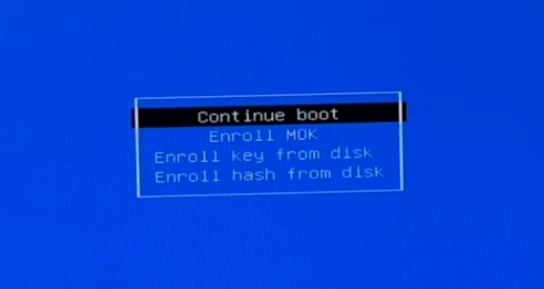click continue boot