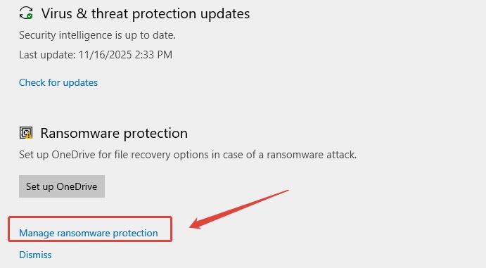 click manage ransomware protection
