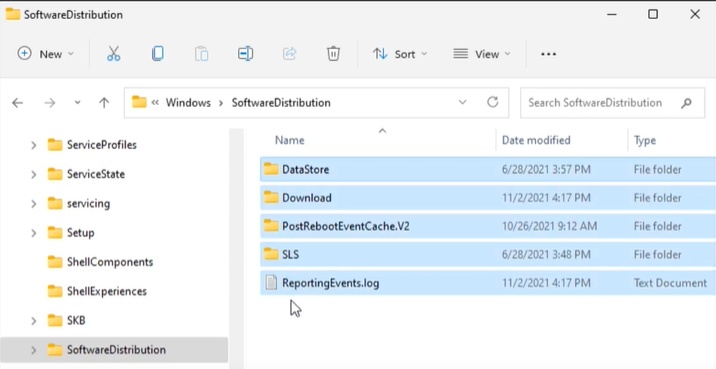 delete softwaredistribution folder