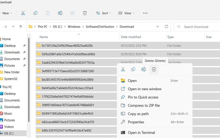 eliminar cachés de actualización de Windows para corregir el error kb5058411