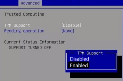 disable tpm in the bios screen