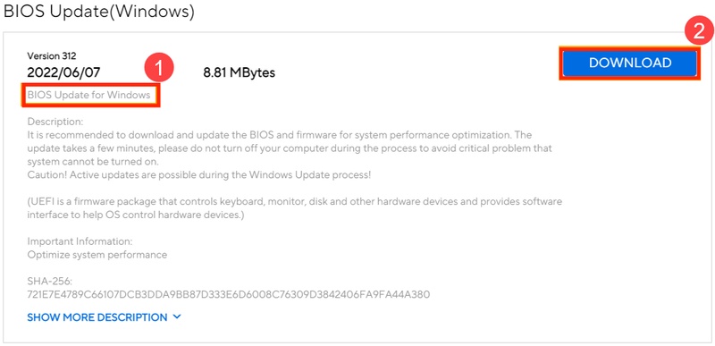 download bios update