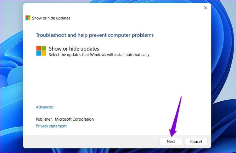 download show or hide updates