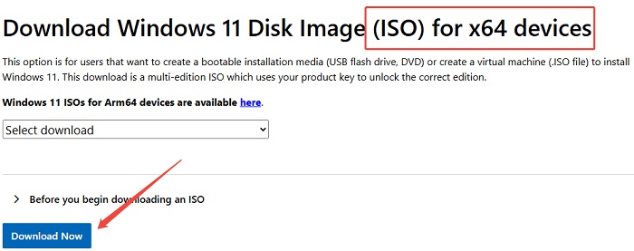 download windows 11 iso file