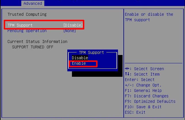 enable tpm support bios