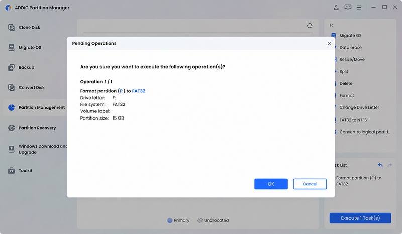 execute formatting task