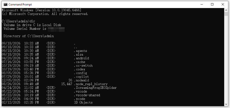 find a file using cmd with dir