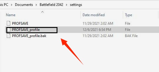 profsave datei finden