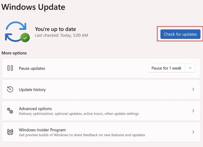 go to windows update