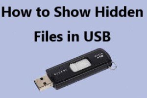 4 Fixes] How to Show Hidden Files in USB?