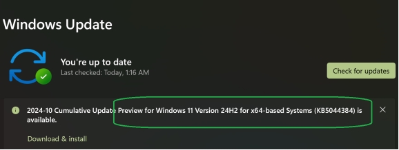 installez le correctif KB5044384 pour résoudre le BSOD sur Windows 11 24H2